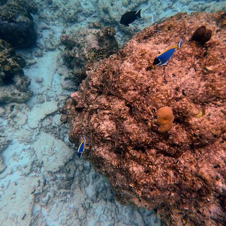 Moodhumaa Inn Guraidhoo  Exteriér fotografie