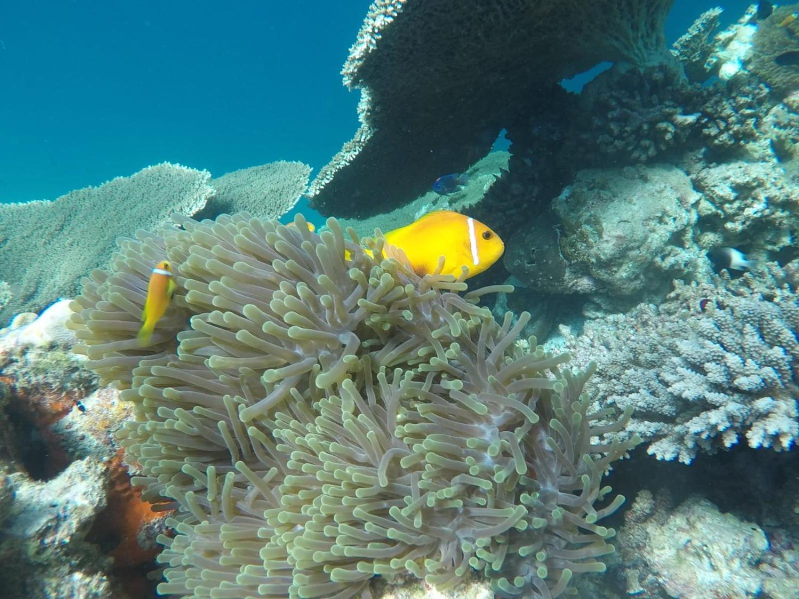 Moodhumaa Inn Guraidhoo  Exteriér fotografie