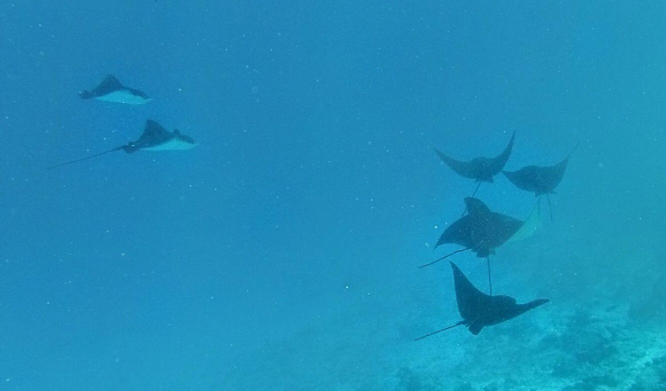 Moodhumaa Inn Guraidhoo  Exteriér fotografie