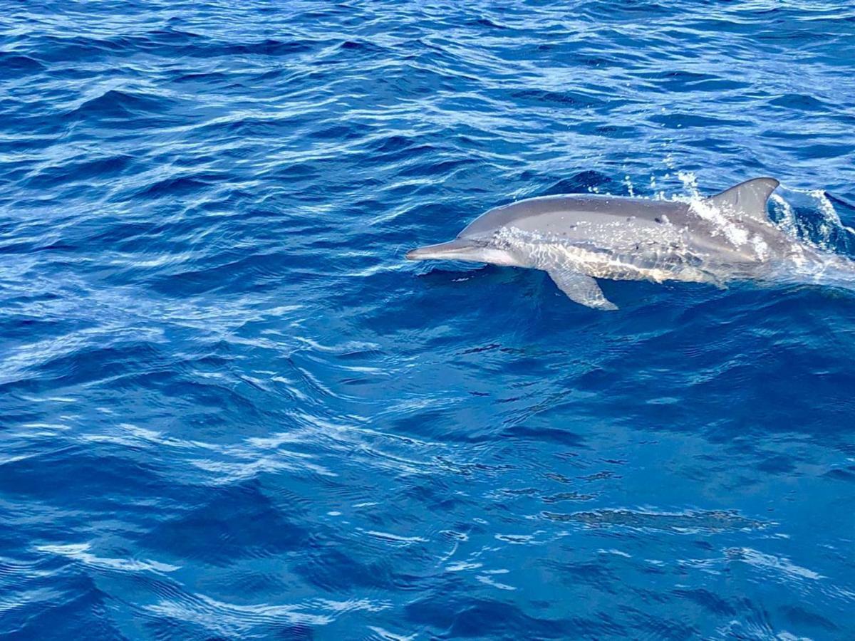 Moodhumaa Inn Guraidhoo  Exteriér fotografie
