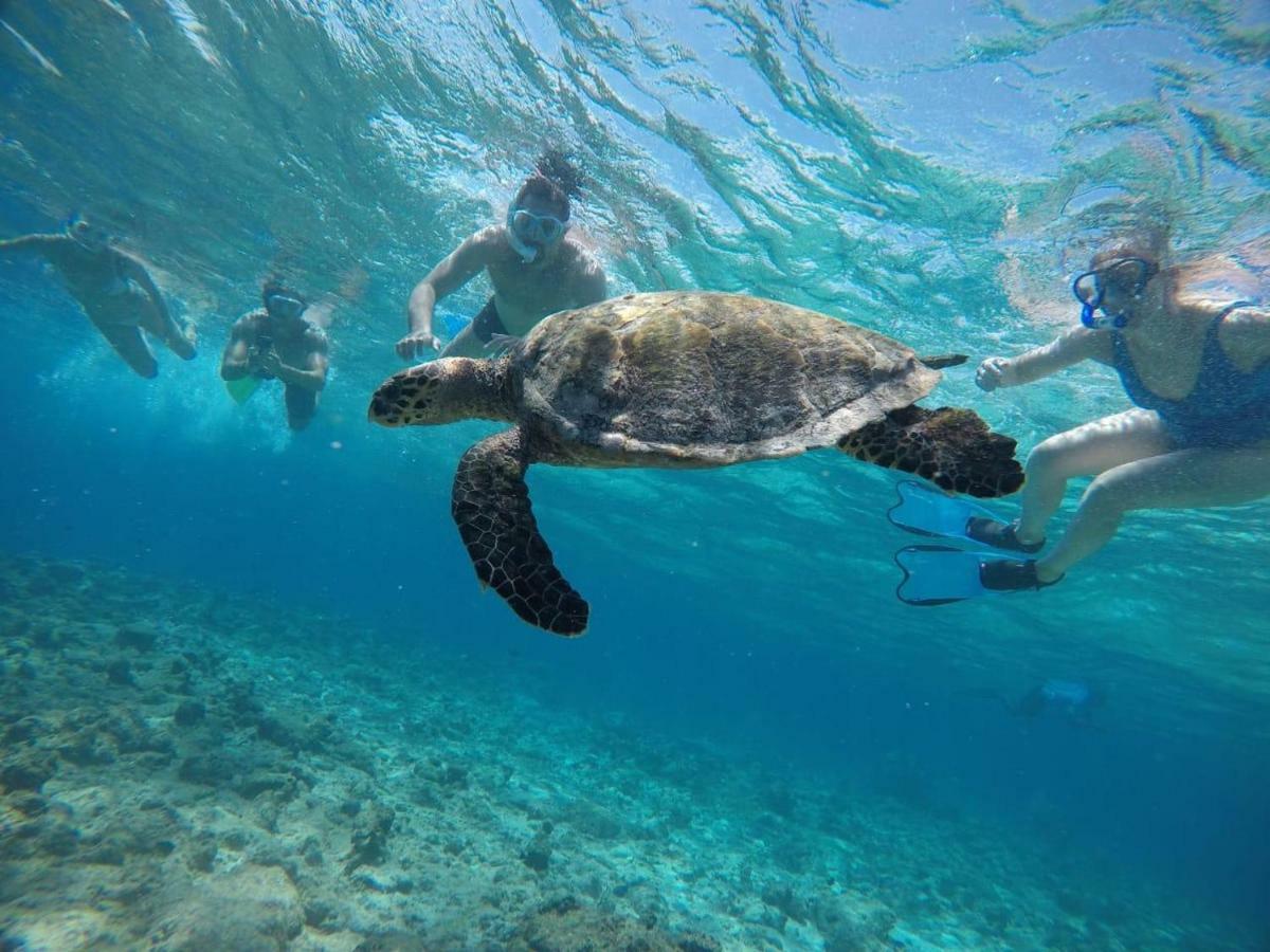 Moodhumaa Inn Guraidhoo  Exteriér fotografie